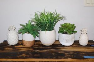 lot 25 image: Home dcor artificial plants and ceramic pineapples