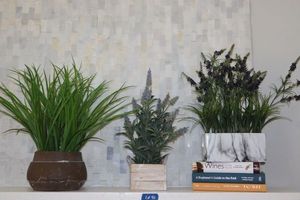 lot 40 image: Artificial plants and books