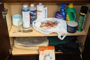 lot 60 image: Plant sprays, scented candle, circle kabobs, tile cleaner, shells