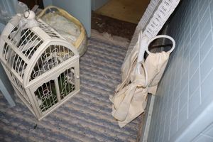lot 345 image: White wicker frame mirrors, birdcage, and more