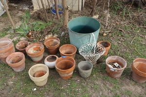 lot 363 image: Terra cotta plant pots with wire basket