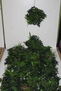 lot 66 image: Approximately 14, 8x8 Faux Greenery wall tiles