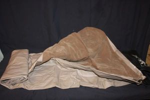 lot 201 image: Twin Size Coleman air mattresses