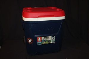 lot 203 image: Large Igloo Cooler