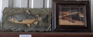 lot 46 image: fish wall plaque, framed fish lure art