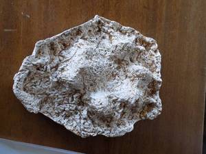 lot 51 image: Plaster cast from Grey Wolf track  - Katmai, Alaska June 2006