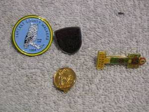 lot 316 image: HIKING WALKING PINS