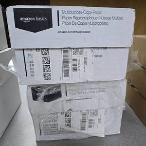 lot 249 image: 2 Boxes of Amazon Basics Printer Paper