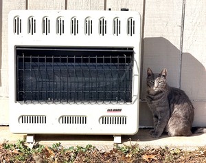 lot 8 image: Glo-Warm Gas Heater WPilot Light