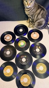 lot 194 image: Ten (10) Assorted Vintage 45s - Including The Platters &amp Herb Alpert and the Tijuana Brass