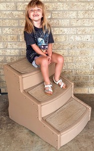 lot 222 image: Pet Gear Easy Step III Pet Stairs