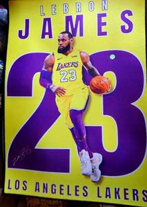 lot 126 image: NEW CUSTOM LEBRON JAMES LA LAKERS FLOOR RUG - MEASURES 24 X 32 $$