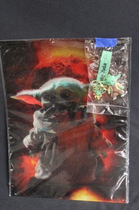 lot 190 image: Halographic Baby Yoda Picture and Key Chain