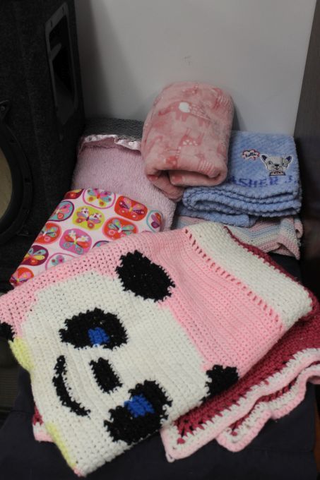 lot 222 image: Baby Blankets, See Photos
