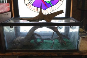 lot 2 image: Reptile tank with screen top heat rock and wood decor