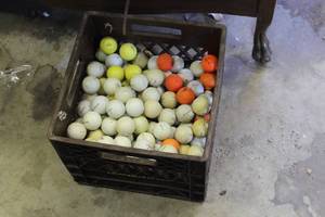lot 251 image: Milk crate full of golf balls