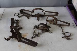 lot 508 image: vintage Oneida Victor and Newhouse long spring and jump-style animal traps