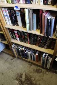 lot 665 image: 3- shelfs  of books been locked away for years see pictures for titles
