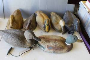lot 765 image: collection of vintage hunting duck decoys,