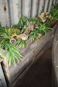 lot 138 image: Two Decorative wooden plant boxes - 61.5X17x31.5 each, does have small wheels on bottom.