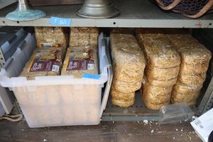 lot 18 image: Small straw bales - 5x6x13