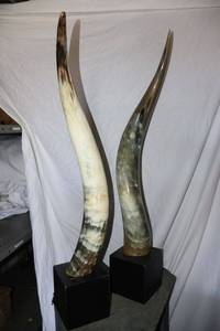 lot 48 image: Longhorn decor - 31 standing height mounted on 5 block