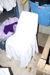 lot 84 image: White chair covers - about 38 count