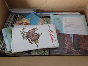 lot 242 image: BASS MASTER BOOK LOT