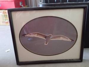lot 14 image: FRAMED BIRD FLYING ART