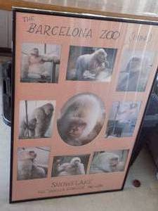 lot 9 image: FRAMED POSTER OF BARCELONA ZOO 1994 SNOWFLAKE