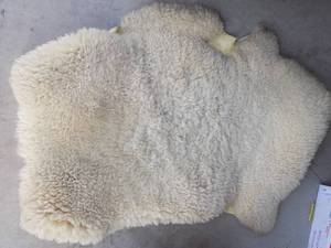 lot 7 image: SHEEP SKIN