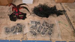 lot 166 image: Lot of Butterfly Hair Clips, Mask & Feather ClipHat