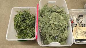 lot 142 image: 2 Totes Full of Artificial Greenery.  See Pictured For Everything Included.