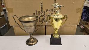 lot 244 image: Lot of 2 Display Trophies