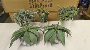 lot 250 image: Lot of Misc Artifical Succulent Plants.