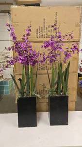 lot 259 image: Pair of Matching Artifical Plants