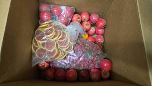 lot 588 image: Large Box of Life Like Artificial Fruit.  Lots of Apples, Grapefruit & Strawberries