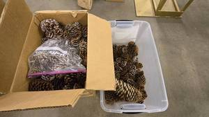 lot 838 image: Large Lot of Plain & Snowy Pinecones