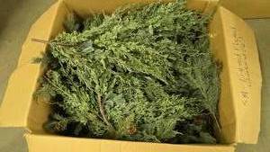 lot 904 image: Large Box of Artificial Branches & Garland