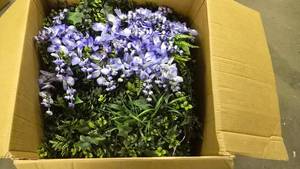 lot 905 image: Large Box of Backdrop Wall Plant Panels