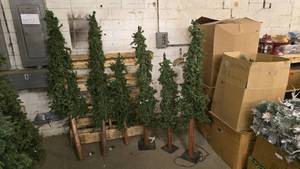 lot 910 image: Lot of 6 Lighted Trees.  Various Heights