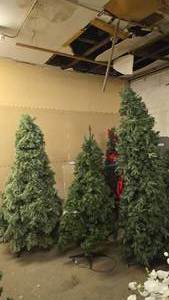 lot 916 image: Lot of 3 Misc Christmas Trees