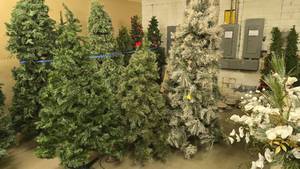 lot 919 image: Lot of 3 Misc Christmas Trees