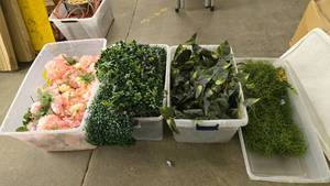 lot 938 image: Lot of 4 Totes Full of Flowers & Artificial Greenery