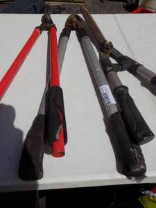 lot 175 image: qty 3 pairs of tree trimmers