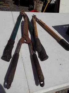 lot 177 image: 3 pair of tree trimmers