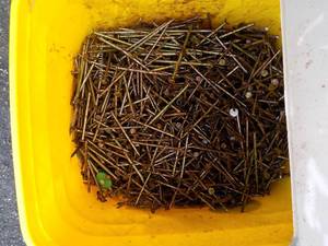 lot 29 image: large bucket of nails