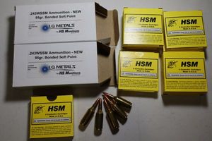 lot 41 image: HS Munitions .243 WSSM ammo, 95 gr bonded soft point - 40 cartridges total