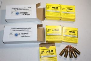 lot 44 image: HS Munitions .243 WSSM ammo, 95 gr bonded soft point - 40 cartridges total