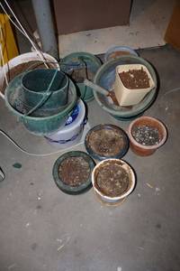 lot 315 image: Plant vase assortment